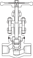 Globe valve # 421 a 428